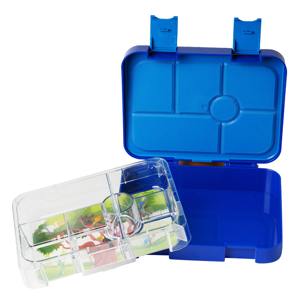 Fruit Tiffin Boxes - Airtight, Freshness-Locking and BPA-Free