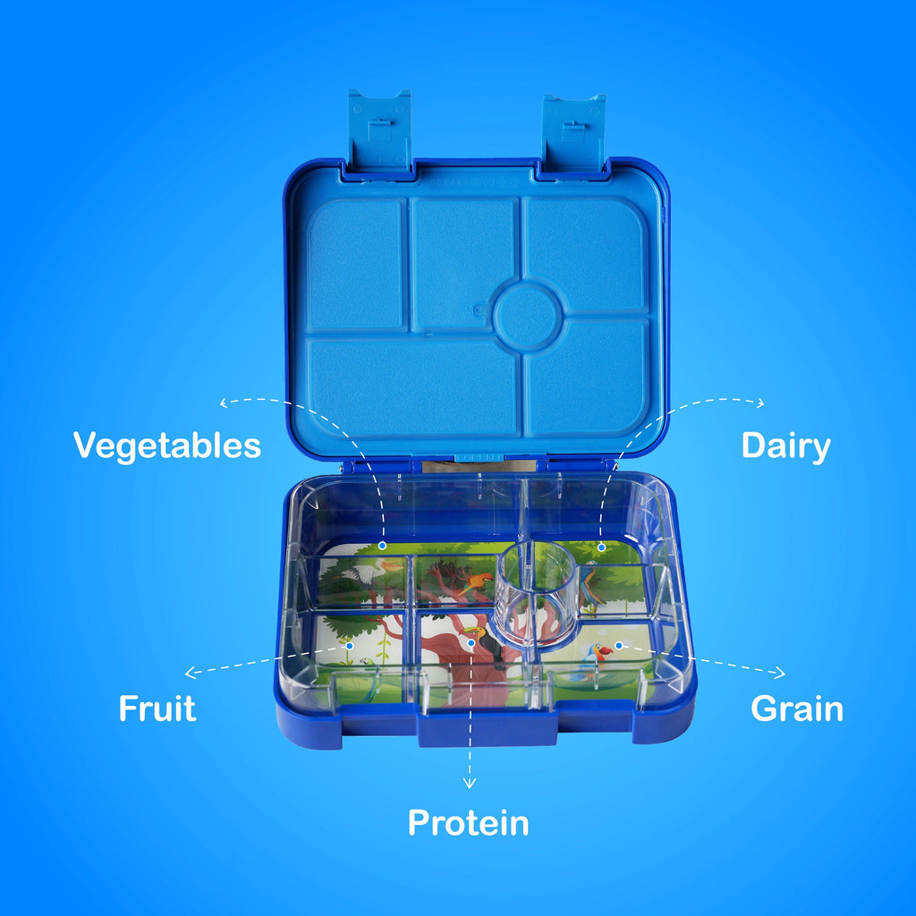6 Compartment Lunch Boxes - Leak-Proof and Portion-Friendly