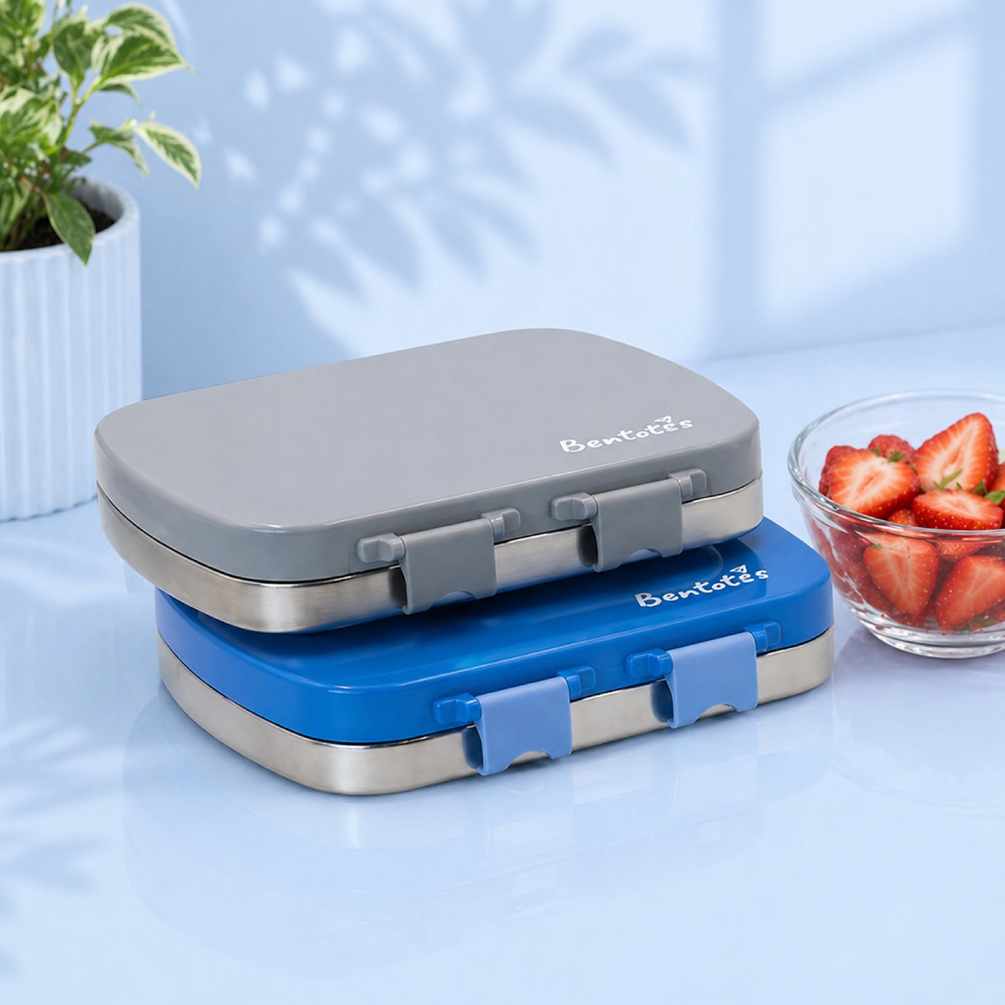 304 Stainless Steel 4 Compartment Leakproof Dodger blue Bento Lunch Box
