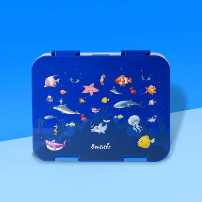 Buy Ocean Splash Blue Tritan Bento Lunch Box Online