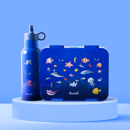 Bento lunch box and matching sipper bottle